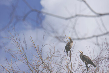 空気感のある風景