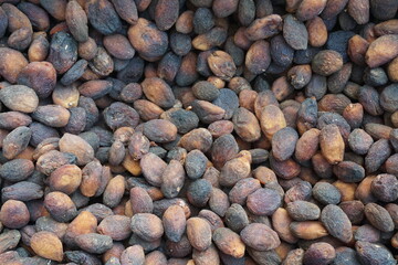 Dried apricots that have been kept outside and dusted