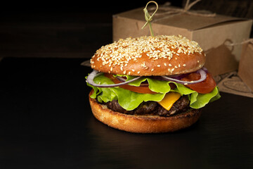 burger on dark background with french fries