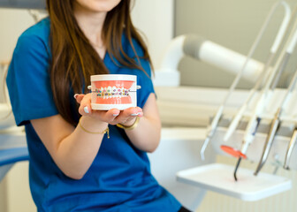 Girl dentist dental braces model as an example for patients. Get to know before orthodontic braces.