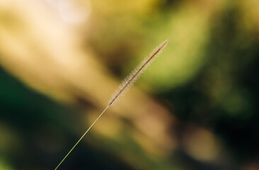 Corners of nature that surrounds us in all their splendor