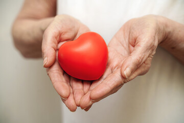 Grandmother woman hands holding red heart, healthcare, love, organ donation, mindfulness, wellbeing, family insurance and CSR concept, world heart day, world health day, national organ donor day