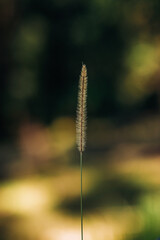 Corners of nature that surrounds us in all their splendor