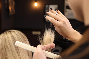 Naklejka premium Professional hairdresser cutting woman's hair in salon, closeup