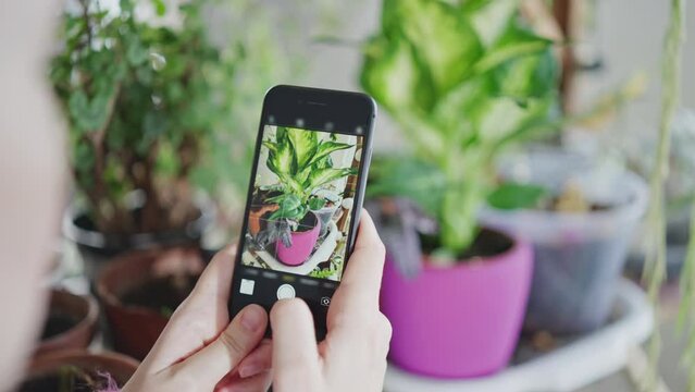plant shop owner using technology for sell