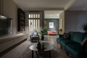 living room, modern apartment, kitchen-living room