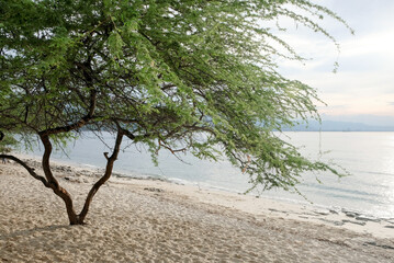 Tropical exotic paradise view of Cristo Rei Beach in Dili, Timor Leste