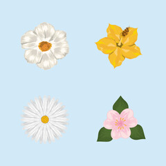 flowers icon collection
