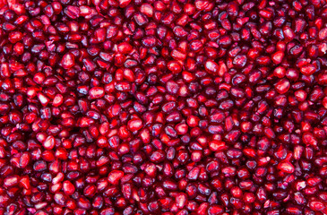Red pomegranate fruit bones closeup.