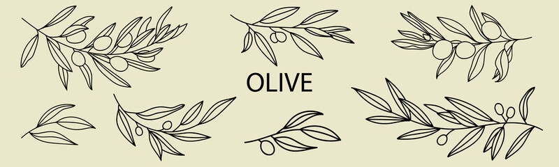 A set of Silhouettes of Olive Branches isolated on a light background in a simple style. Vector Illustrations of Olive Tree Branches With fruits and Leaves to create logos, patterns, and more