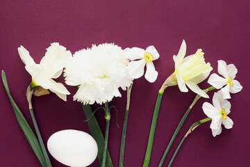 White spring flowers with Easter egg on purple background
