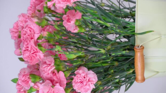 Close-up of a large number of pink carnations in a tin vase with handles on a neutral background. Vertical video. Flowers rotate around their axis on a turntable. The podium of the flower shop.
