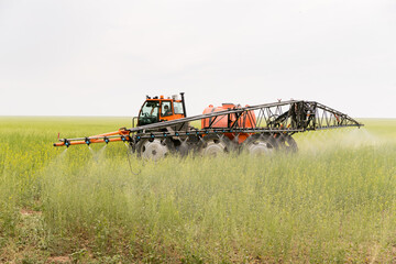 Fototapeta na wymiar High-tech machines optimize work in the fields. Field desiccation is the pre-harvest drying of plants with chemicals, which accelerates their maturation and facilitates machine harvesting.