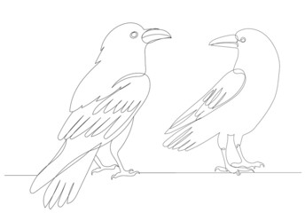 Obraz premium crows drawing by one continuous line, sketch