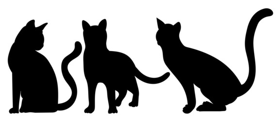 cats silhouette, isolated on white background vector