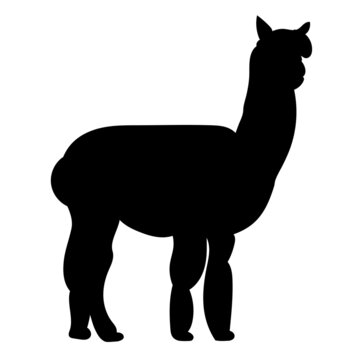 lama silhouette, isolated on white background vector