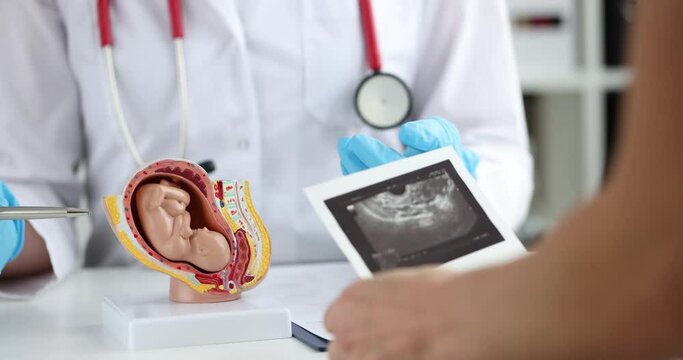 Gynecologist shows woman mockup of baby fetus in clinic
