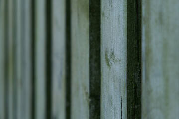 Mossy wooden fence clouse up