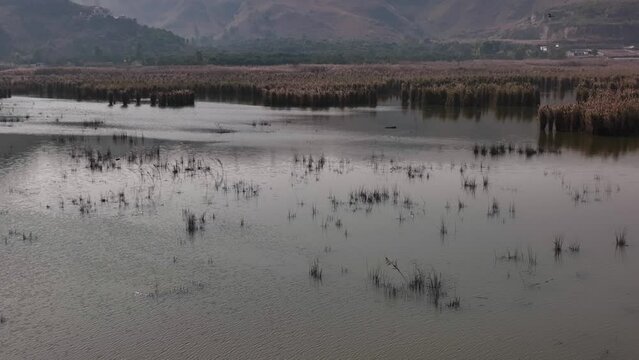 Fisherman casting net at kallar Kahar lake in Punjab Pakistan. Kallar Kahar is a tourist hotspot, situated 25 kilometers from the city of Chakwal, in province Punjab, Pakistan.