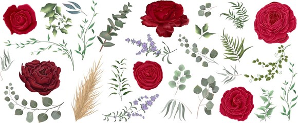 Vector grass and flower set. Eucalyptus, different plants and leaves, lavender, red roses, ranunculus, dry wood, mimosa.  - obrazy, fototapety, plakaty