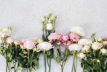 pink roses on grey concrete background. flat lay, top view