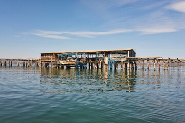 La Punta del Fangar,  cr&iacute;a del mejill&oacute;n en el Delta del Ebro