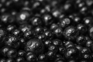 Beautiful background with mother-of-pearl black pearls, top view. Abstract texture for festive backgrounds. Shiny surface of male background. Gems close-up. Silver bright background.
