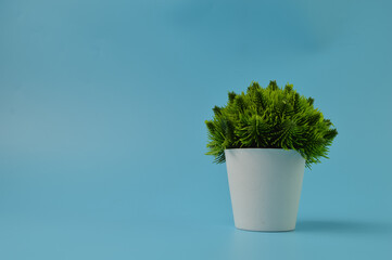 White cup with green grass inside isolated on a blue background