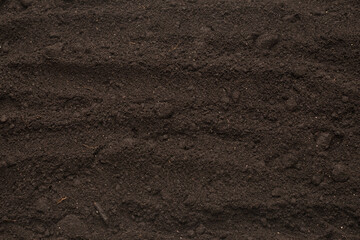 Black land for plant background. Top view.