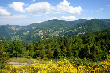 Summer landscape along the road to Passo della Cisa in Parma province