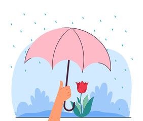 Hand holding umbrella over flower flat vector illustration. Person protecting plant from bad weather and rain. Gardening, care, safety concept for banner, website design or landing web page