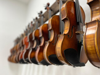 Row of multiple violins with white background hanging on the wall, musician workshop