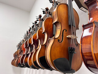 Row of multiple violins with white background hanging on the wall, musician workshop