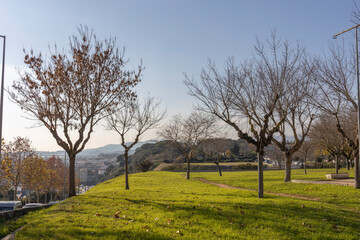 Obraz premium Park in the center of the tourist city. Urban environment. Cityscape with a beautiful view. Bright greenery illuminated by the sun.