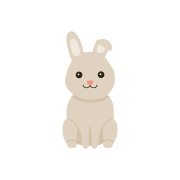 Cute baby rabbit or hare pet for Easter design. Animal bunny in cartoon style. Rabbit sit. Vector illustration