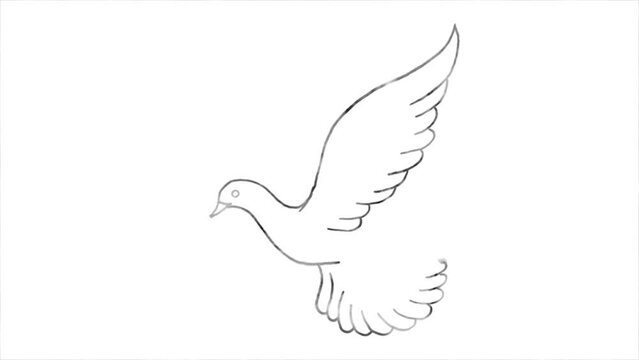 Drawn pigeon with an olive leaf, a symbol of peace.
