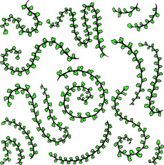 Leaf set, flower and leaf illustration, ornament elements