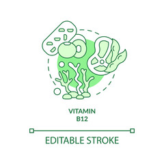Cobalamin green concept icon. Plant based meat. Vitamin B. Source of nutrients abstract idea thin line illustration. Isolated outline drawing. Editable stroke. Arial, Myriad Pro-Bold fonts used
