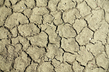 Cracking and splitting of soils due to thirst-soil erosion and drought,erosion caused by drought and desertification,