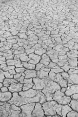 rapidly drying world-cracked and fissured soils-drought as a result of global warming,