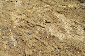 soil types-yellow soil type, sandy and hard rock yellow soil, soil layers, soil formation, - obrazy, fototapety, plakaty