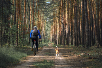 Man cycling with a dog through the forest. Back view of man riding bicycle together with his beagle dog pet running nearby. Traveling with a dog
