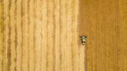 Foto op Canvas Aerial view combine harvester harvesting on the field © LALSSTOCK