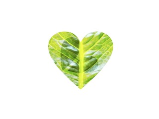 The green heart is a symbol of love for the earth and the environment, leaves texture shadow 