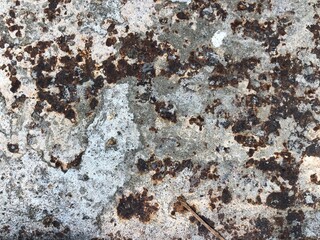 Old rusty metal textured. Aged steel wall.