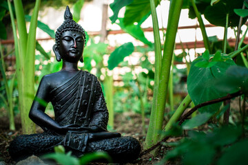 A shot of a buddha statue sitting in a lotus pose surrounded with green plants and trees.