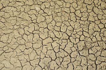 close- up,Cracking and splitting of soils due to thirst-soil erosion and drought,