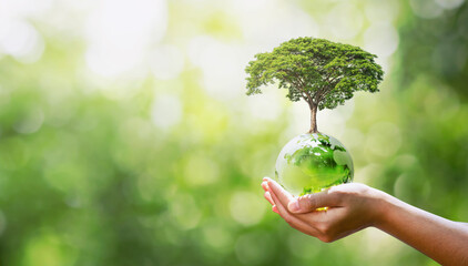 hand holding glass globe with planting trees and blurry green nature ecological concept - obrazy, fototapety, plakaty
