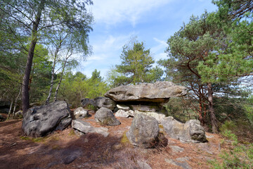 Fototapeta premium Famous rock formations in the belvederes path. Fontainebleau forest 