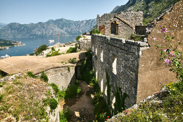 Fototapeta premium Montenegro, Kotor, Festung, Ruine.
